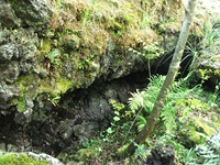 Parco Cosentini